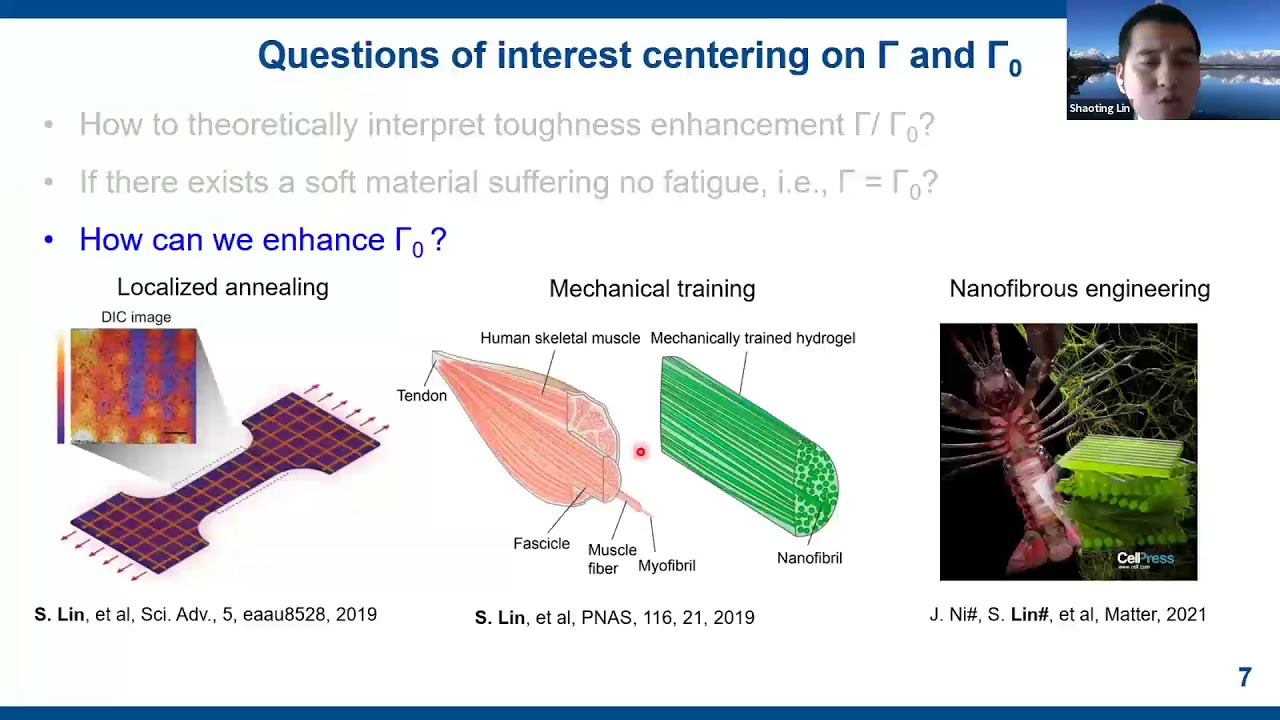 Extreme Properties of Hydrogels by Network Design
