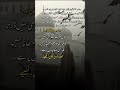 سچا یقین کبھی گرا نہیں کرتابھروسا اگر اپنے رب اور خود پر ہو تو شاخ کی پرواہ نہیں ہوتی Shortvideo سچا یقین کبھی گرا نہیں کرتابھروسا اگر اپنے رب اور خود پر ہو تو شاخ کی پرواہ نہیں ہوتی Shortvideo