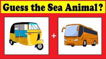 Guess the Sea animal quiz 2 ??? | Riddles with answers | Puzzles Game | Brain Game | Timepass Colony