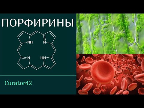 Видео: Где находится порфирин?