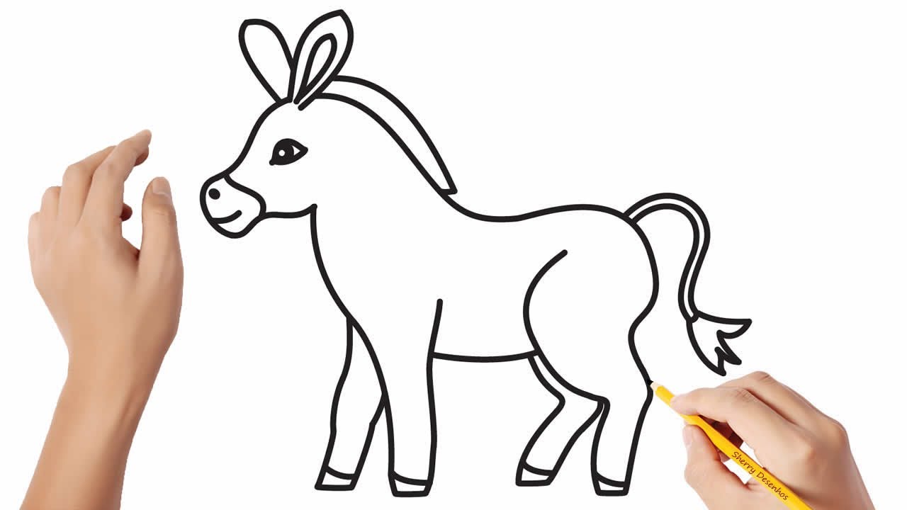 Burro para desenhar