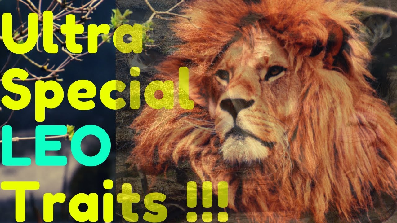 Ultra Special Leo Traits with Soothing Music LEO LOVE YouTube