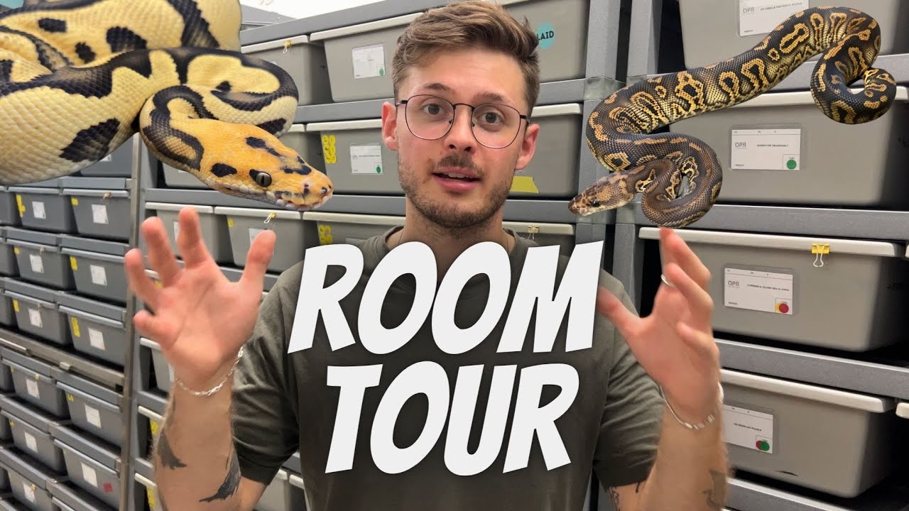 1er Room Tour de DPR Sangfroid!!