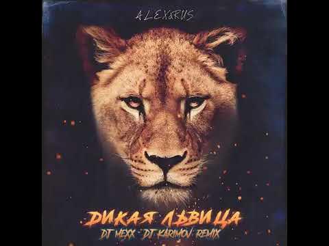 Alex und rus dj Mexx dj karimov remix music video