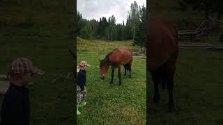 Пушок и Миша