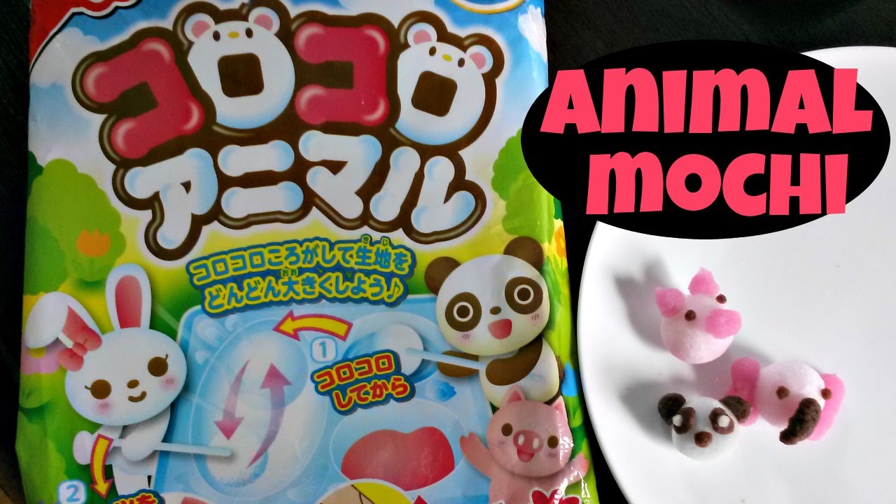 Choco Kinako Mochi DIY Kit - Kawaii Panda - Making Life Cuter