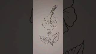 EASY HIBISCUS DRAWING😊drawingvideo😍 #shortsfeed #shortviral #short #mamun's artworks #youtubeshorts
