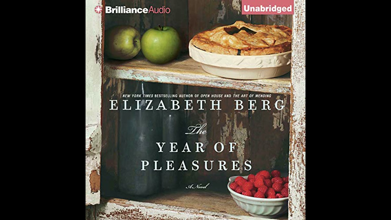 Year of Pleasures Audiobook by Elizabeth Berg