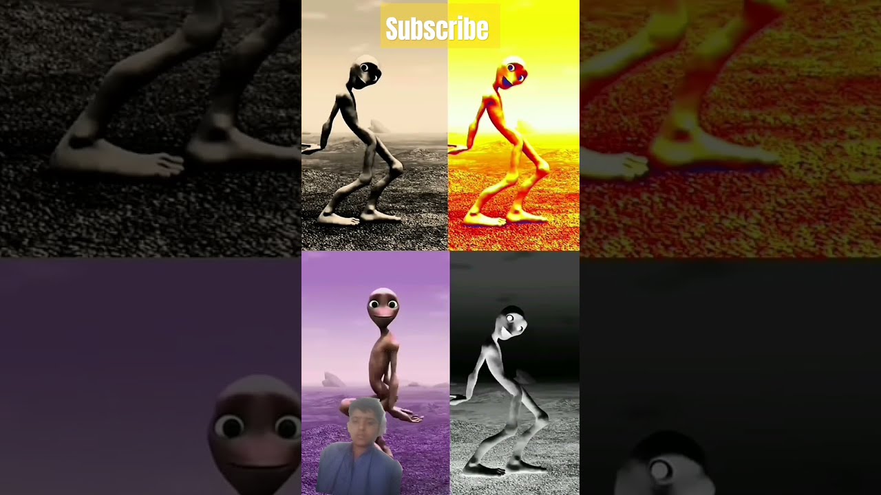 Https Youtube Com Shorts 0XDEWiijge4 Si 5PLKWEjgFt 03 NCDame Tu Cosita The AliDame Funny