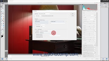 Photoshop Elements 2021 Tutorial Saving a Camera Raw File as a DNG File Adobe Training