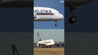 DOUBLE A380 Landing &amp; Take off