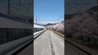 JR東日本本社駅新宿駅を出発し、甲府駅を目指して、さくら