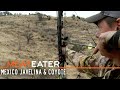 Skunk Pig: Mexico Javelina & Coyote | S3E06 | MeatEater