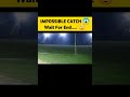 Impossible catch   wait for end  short shortcricket