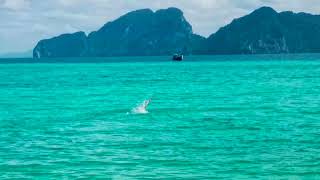 Nadando en el mar de Andaman - Koh Kradan - Tailandia 2022
