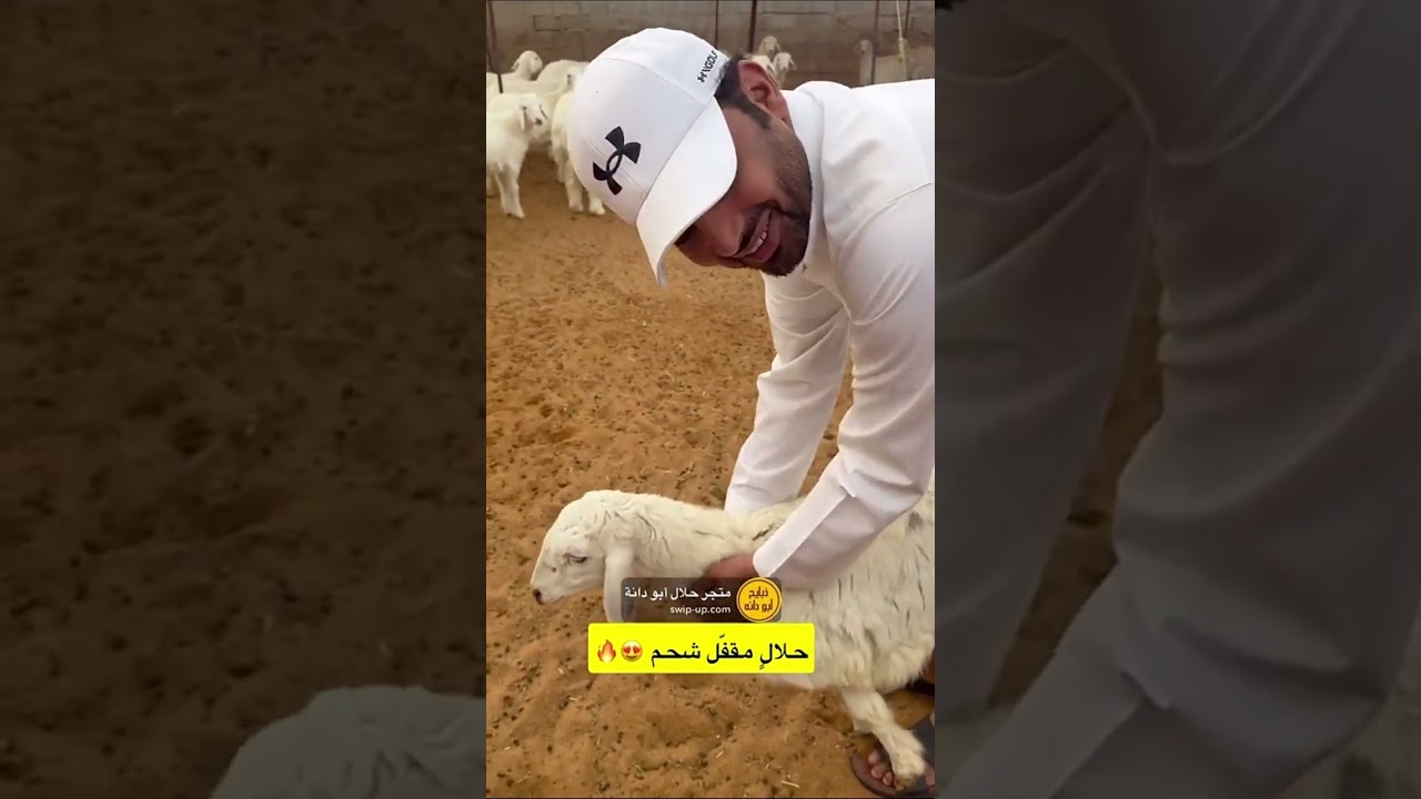 غناتي و دنى و دانه | يلا صوب المزرعه أسرع شي