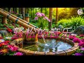 純音樂🌿放松心灵的古风音乐 | 治愈身心的轻音乐合集🌿