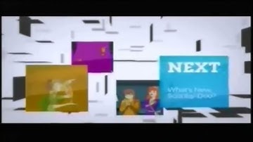 Cartoon Network CHECK it 1.0 Era Next Bumper (What