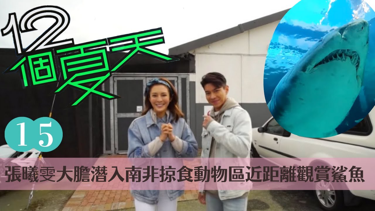 張曦雯大膽潛入南非掠食動物區近距離觀賞鯊魚 | 羅天宇獻上處男初潛親親魔鬼魚及海龜 | 12個夏天 #15 | 張曦雯、羅天宇 | 粵語中字 | TVB 2019