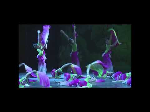 《 六月清荷》北舞原版