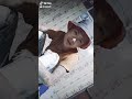 مجانا CgsIARC1ChgBIAMoARI CjwdwMxnfzlzsfcdJFtsVCHug3u FvZCMr9Wb1B1kw0rmNX0pQ0Y0yfUkhymfJu NxfdW9a89rPtoWjX mp3 CgsIARC1ChgBIAMoARI CjwdwMxnfzlzsfcdJFtsVCHug3u FvZCMr9Wb1B1kw0rmNX0pQ0Y0yfUkhymfJu NxfdW9a89rPtoWjX mp3