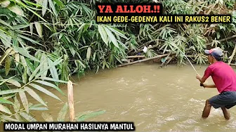 ASTAGA.!!! SPOT INI IKANNYA BESAR BESAR SEMUA || MANCING PAKAI UMPAN MURAHAN HASILNYA DI LUAR DUGAAN ASTAGA.!!! SPOT INI IKANNYA BESAR BESAR SEMUA || MANCING PAKAI UMPAN MURAHAN HASILNYA DI LUAR DUGAAN
