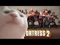 Cat Vibing To Team Fortress 2 Theme