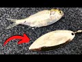 Did Anglers STOP Fishing SPINNERBAITS Like This?! (Summer Spinnerbaits)