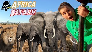 Ninja Kidz on Safari in Africa! We found BABY LIONS!