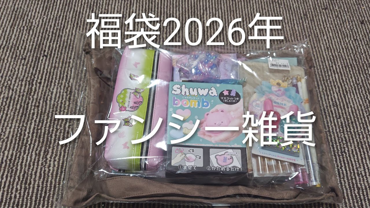 福袋中身大公開　クエストファンシー雑貨福袋　ハンズ3480円　猫のゴマちゃん乱入して商品持って行かれる　＃JAPAN＃文具＃文房具＃保護猫＃ゴマポンズ＃かわいい＃癒し＃面白い＃猫あるある