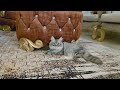 زاهيه و تحر يض فيسو على طارق و سر قه الفون بنت الاوبح حضرت العفر يت زوزو اتصرفيه رساله ل مصطفى داود