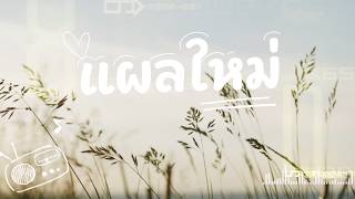 แผลใหม่ เบสแน่นๆ