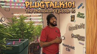 The Pheno Hunt pt 2. Ep 15 Partial Harvest (1 Gallon Autopots grow)  - PlugTalk101