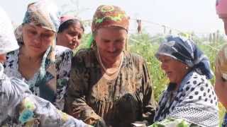 LTPR Module 9 Part 1: Threats to Peace - Common Land Disputes at the Local Level