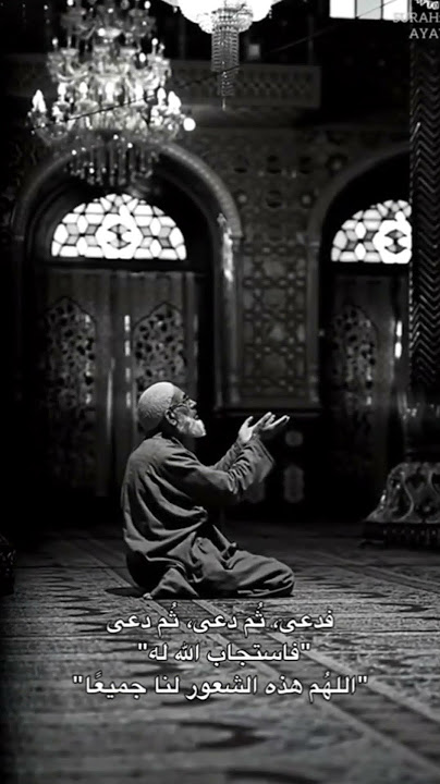 12 سبتمبر 2025