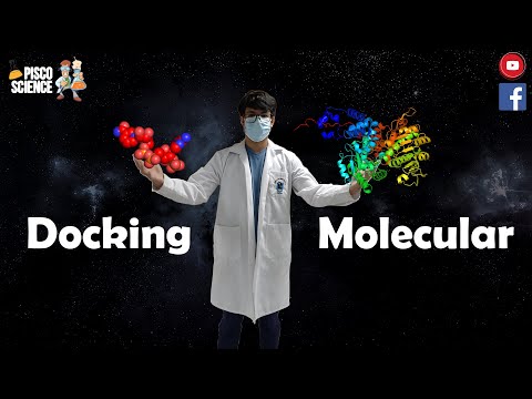 Vídeo: Diferencia Entre Anclaje Molecular Y Puntuación
