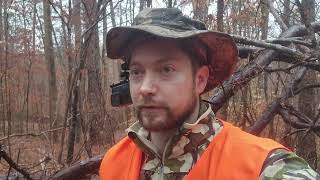 Hunting Alabama Public Land - Sign Everywhere! by DIY Sportsman 26,009 views 1 year ago 11 minutes, 7 seconds