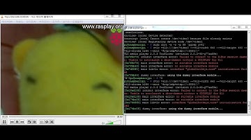 VLC RTSP Streaming on the Raspberrypi