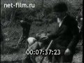 Киножурнал Новости дня хроника наших дней 1964 15 Киножурнал Новости дня хроника наших дней 1964 15