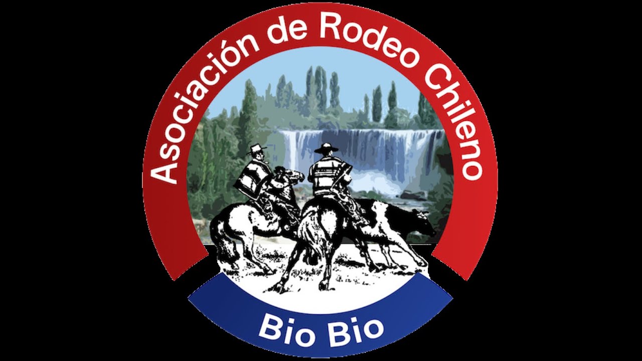 Serie Yeguas - Club de Rodeo Las Canteras de O´Higgins- Asoc Bio Bio - Medialuna Templo del Huaso