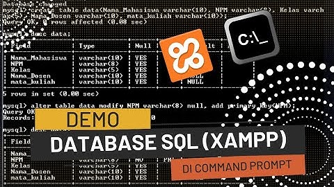 Demo Database SQL Penjualan (xampp) menggunakan Command Prompt