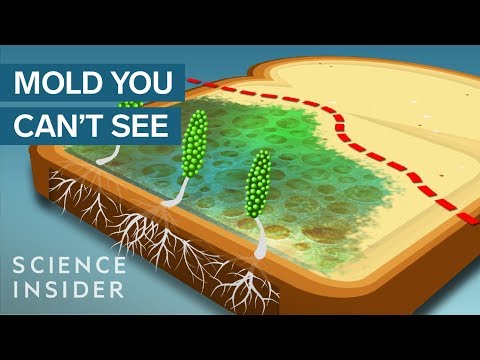 Video: Why Does Bread Grow Moldy