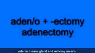 06 Chapter 02 Part 03 Glands