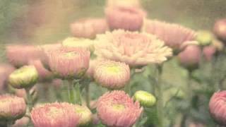 Helios - Ideals or Hopes (Moiety)