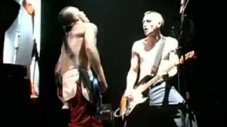 Watch Red Hot Chili Peppers Blackeyed Blonde video