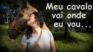 Como fazer seu cavalo te seguir?