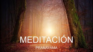 MEDITACIÓN PRANAYAMA