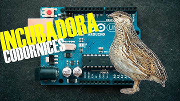 INCUBADORA ARDUINO CODORNICES