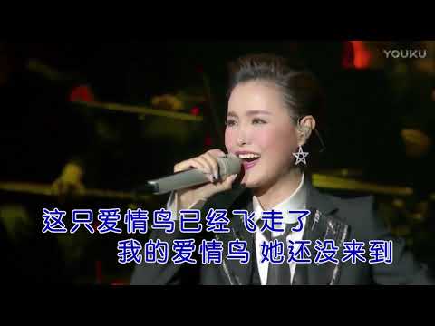 王紫菲【爱情鸟】现场版MV