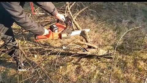 Milwaukee M18 FUEL 16" Chainsaw Cutting Down Tree
